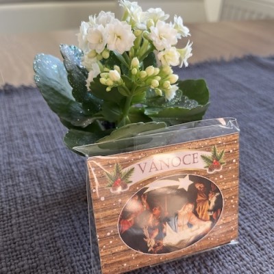 Vánoční dárek, děkuji!