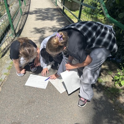 Závěrečný test z celého školního roku pomocí venkovní bojovky.