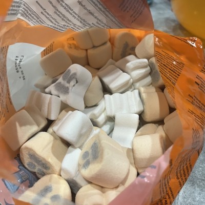 Duchové a dýně (Ghosts and pumpkins)