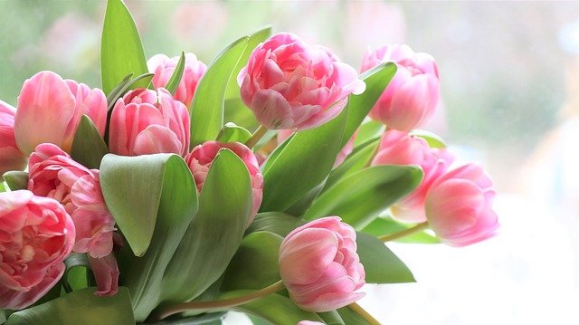 Den matek - Mothers day