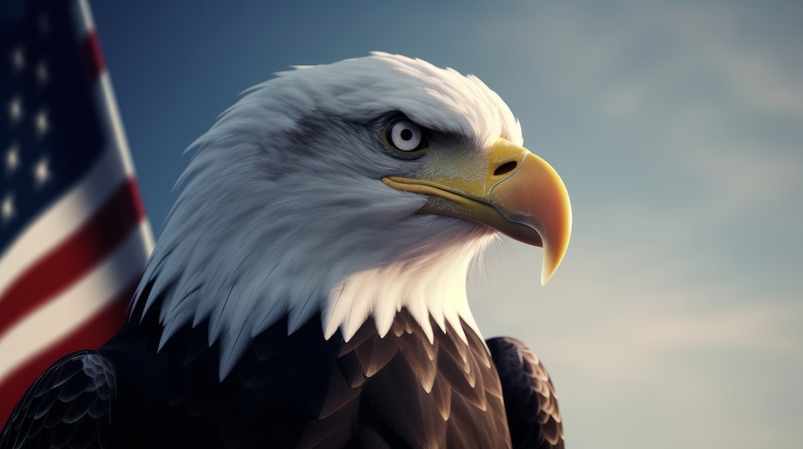 USA (Spojené Státy Americké)