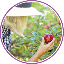 Letní výzva: Jak využít angličtinu v praxi 